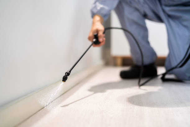 Licensed Termite Control service in Augusta, GA - Nex Pest Control