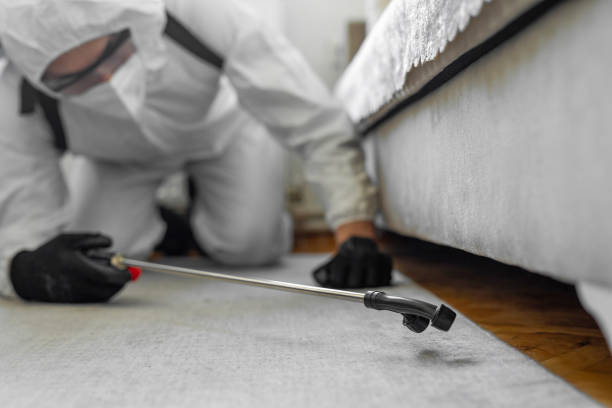 Professional Termite Control technician working in Augusta, GA