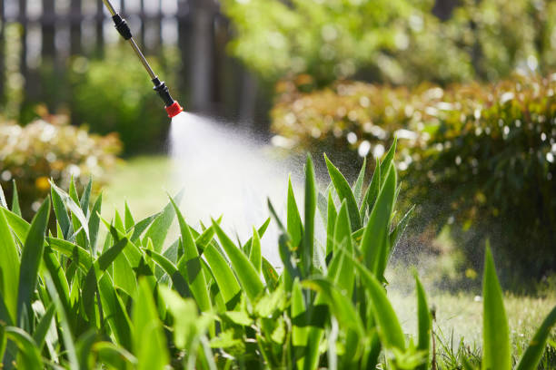 24/7 Emergency Termite Control experts in Augusta, GA