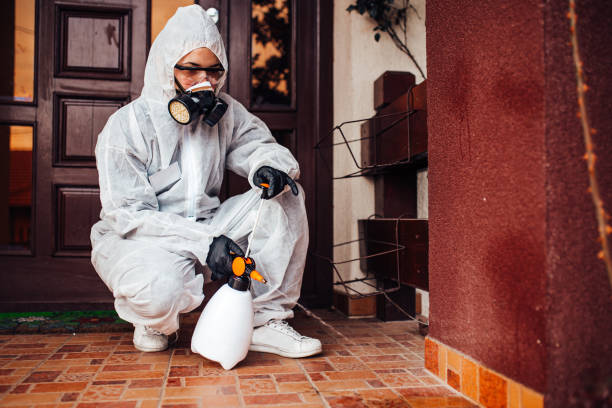 Reliable Termite Control contractor in Augusta, GA by Nex Pest Control