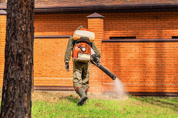 Top rated local Termite Control specialists in Augusta, GA